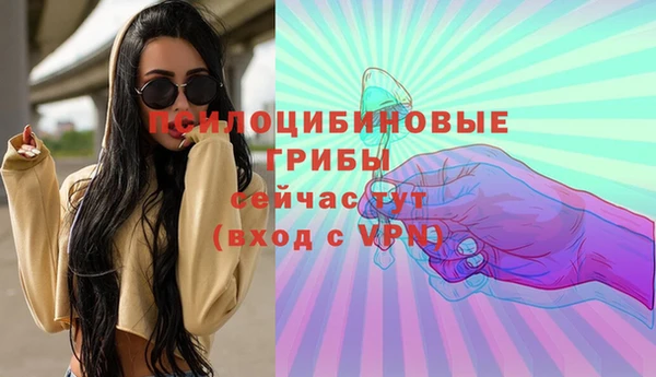 apvp Верхний Тагил