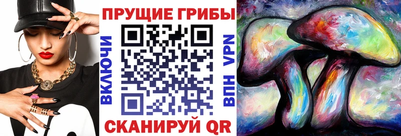Купить где  Глазов  Псилоцибиновые грибы Cubensis 