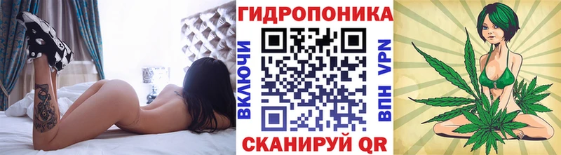 Купить закладки  Глазов  Шишки марихуана планчик 